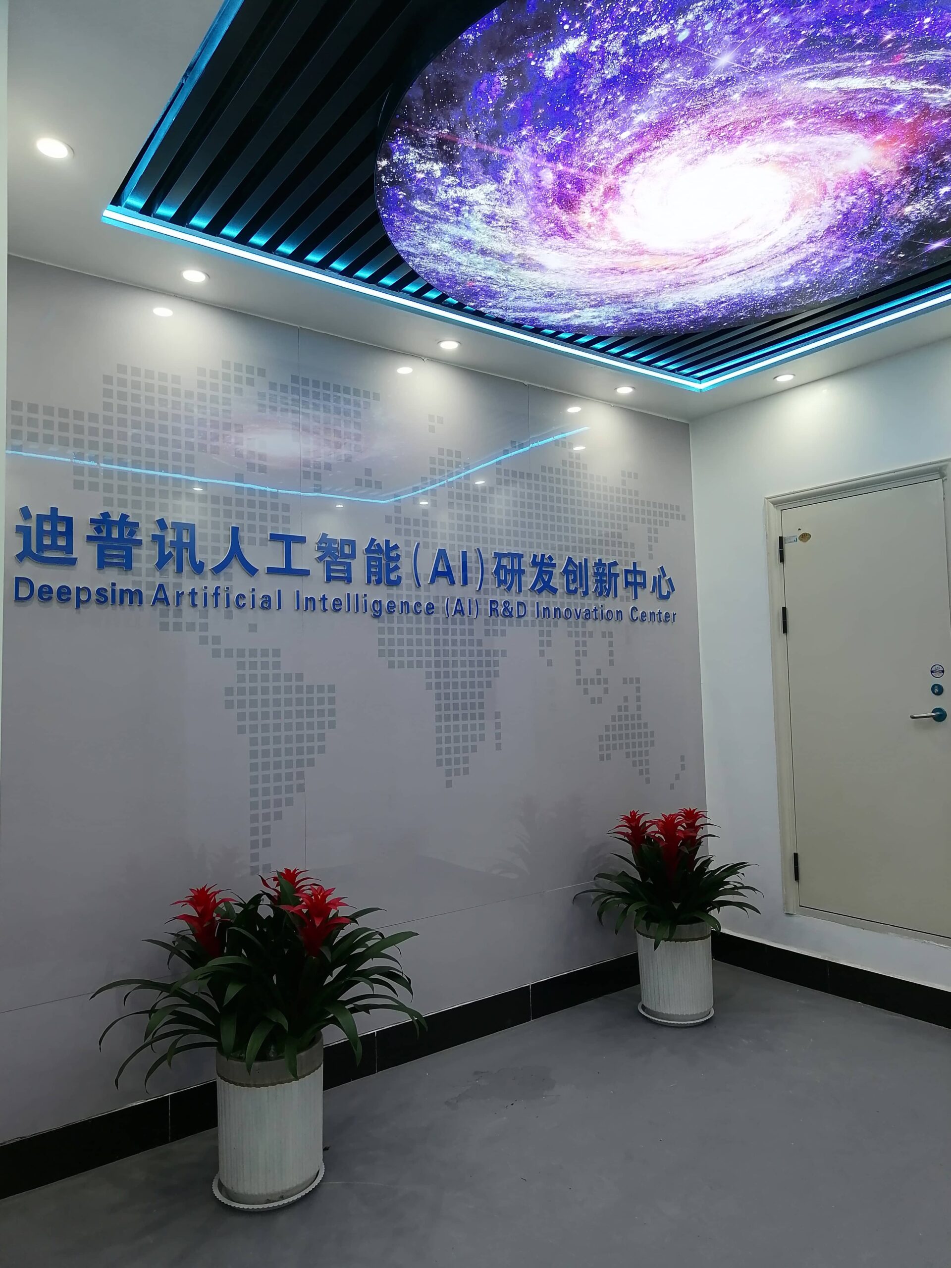 DeepSim, Inc. office